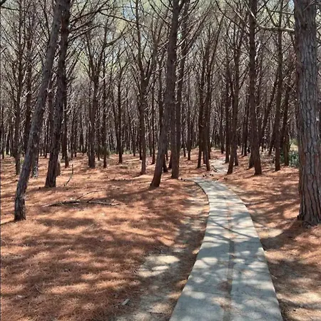 Club Two Bed 57f Appartement